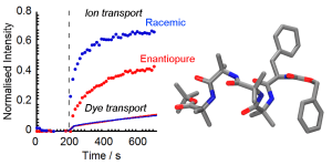 Graphical abstract Phe