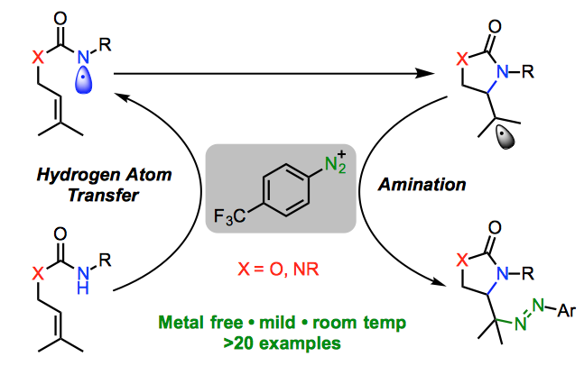 Screen Shot 2018-08-29 at 11.02.02.png