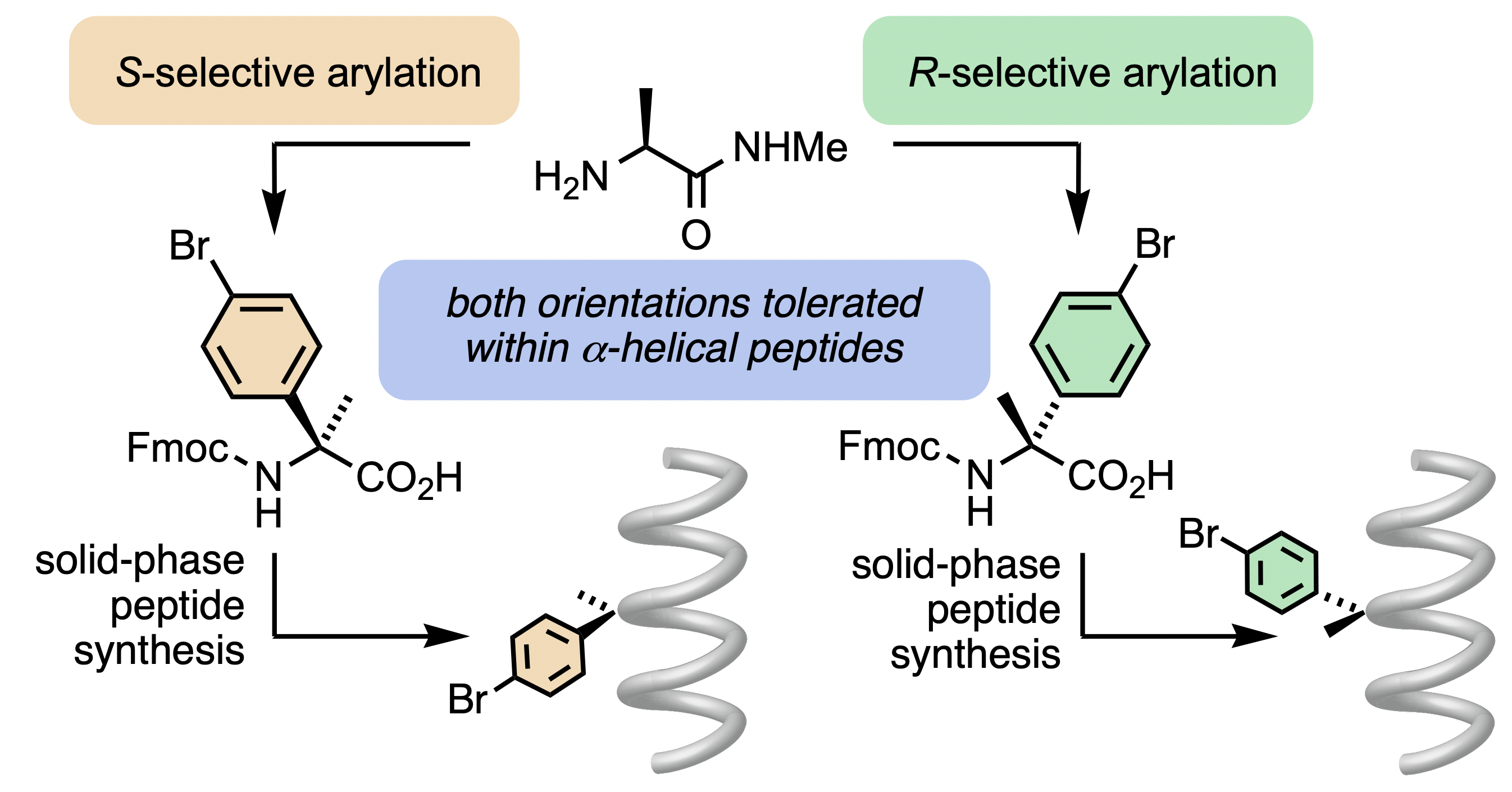 Screenshot 2021-06-14 at 15.57.28