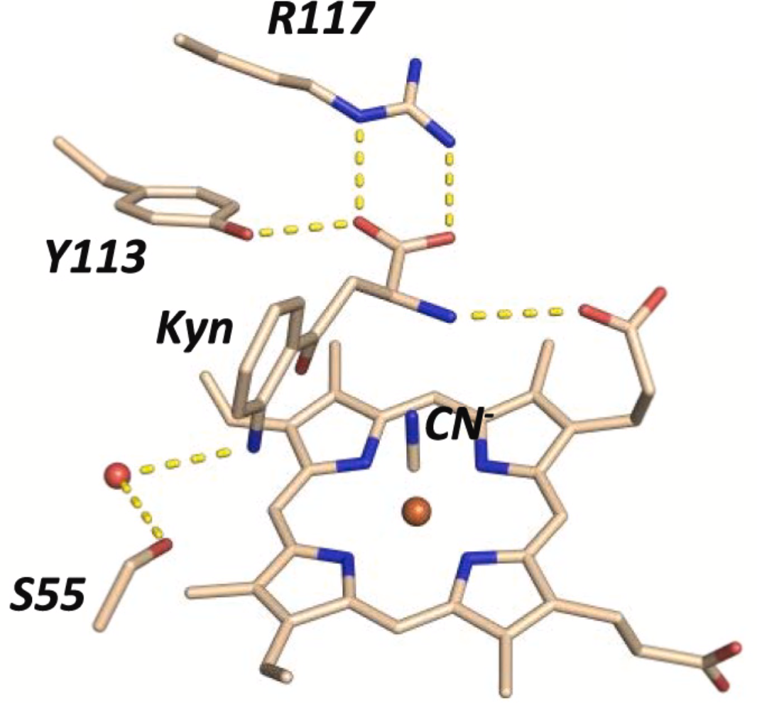 Screenshot 2021-09-27 at 10.49.22